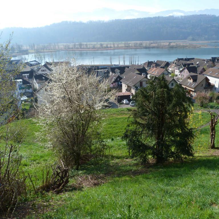 Bnb Goldberg Schmerikon Екстериор снимка